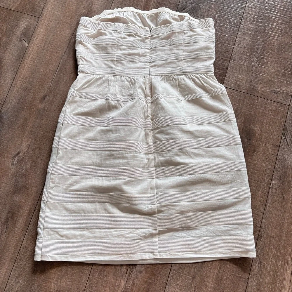 J. Crew crew rugby